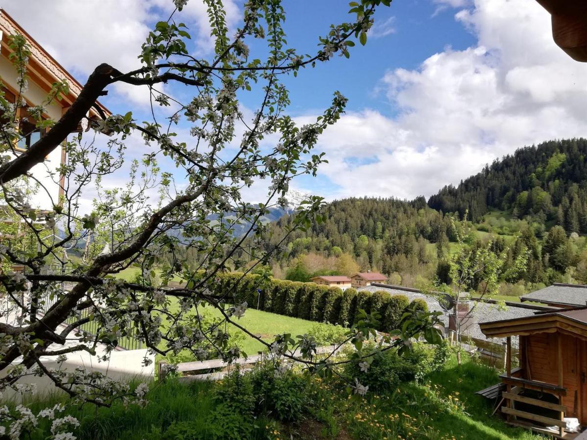 Wood Apartments By Trendlbrugger Going am Wilden Kaiser Dış mekan fotoğraf